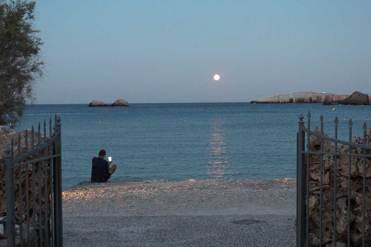 One of our visitors enjoying the view - Aeolos Beach Hotel Folegandros - Gallery